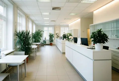 Modern dental reception featuring white tables, green plants, and natural light in a clean professional environment