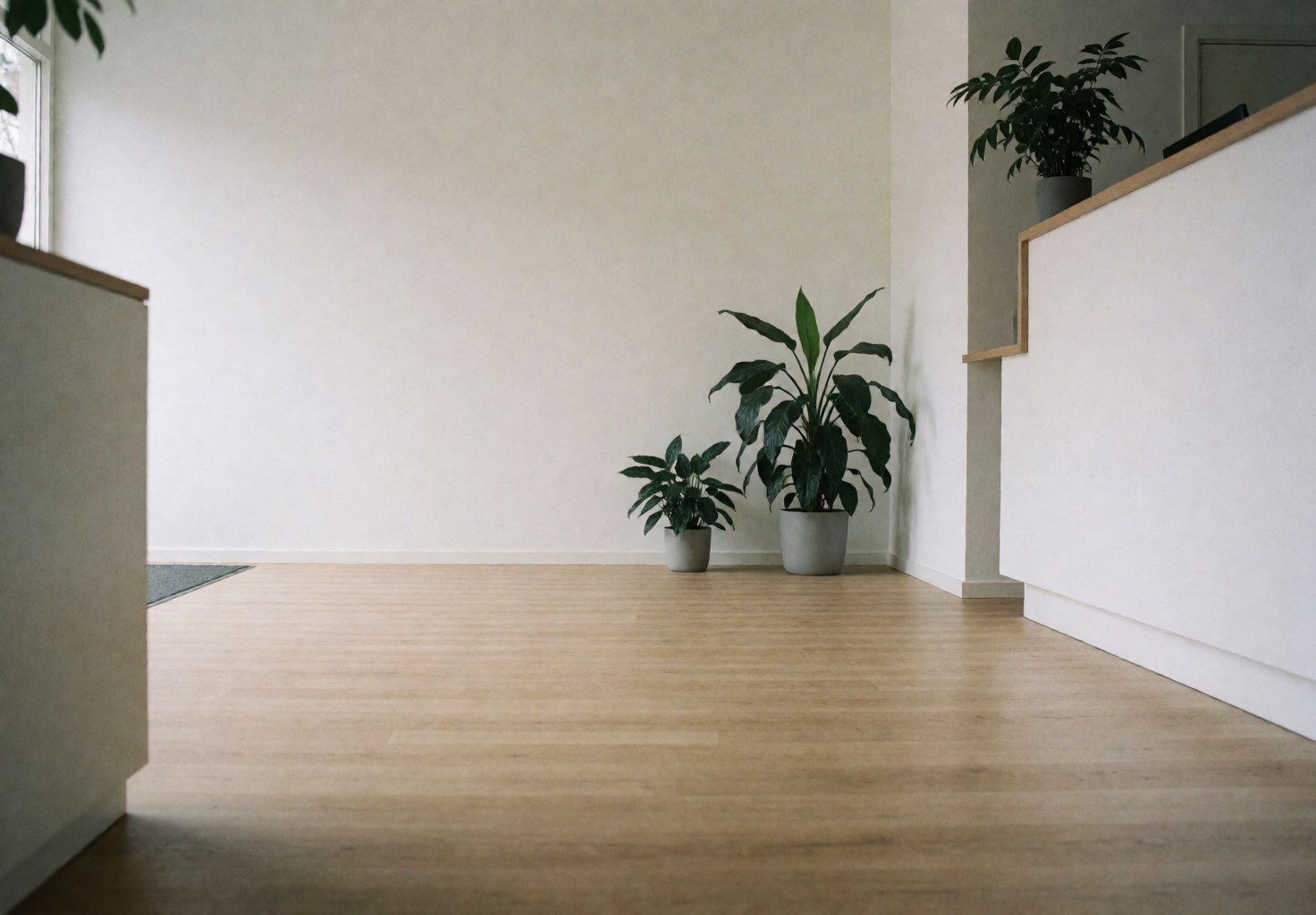 Minimalist language school reception featuring light wood flooring, white walls, and decorative green plants creating a welcoming atmosphere