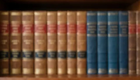 Blurred background of law books on a wooden shelf, providing warm tones and copy space for legal text overlays