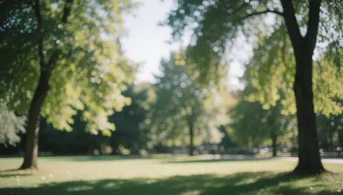 Tranquil park scene with green trees and filtered sunlight, ideal for overlaying business text.