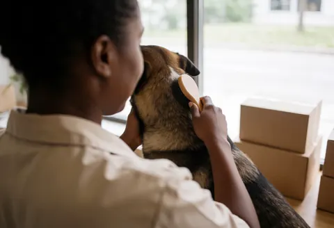 A woman brushes a dog's fur with a wooden brush near a window in a dog grooming salon