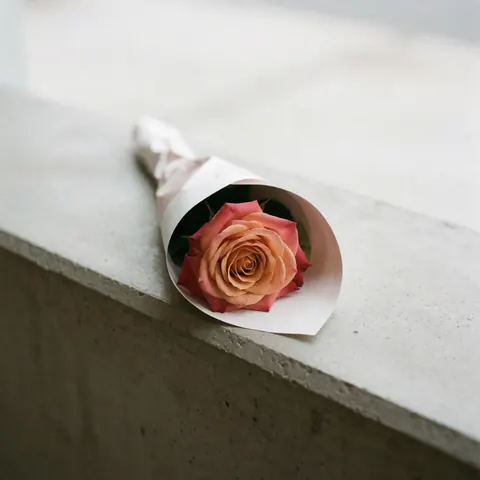 A pink and orange rose wrapped in white paper rests on a concrete shelf with soft lighting highlighting its texture and color.