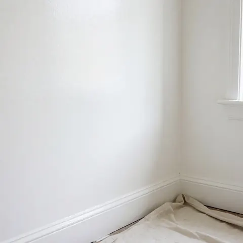 Freshly painted white wall with molding and drop cloth on the floor.