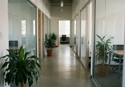 Modern office hallway with glass walls, green plants, and visible desks through the glass.