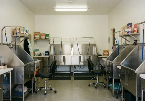 Clean and organized empty dog grooming salon interior featuring stainless steel bathing tubs, styling chairs, and storage shelves ready for business