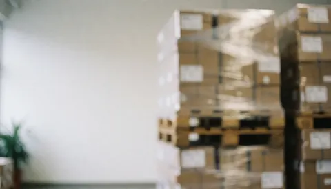 Pallets with packed boxes in a warehouse, blurred background with white wall and plant.