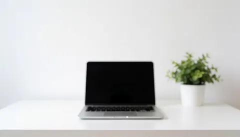 A white laptop sits on a white desk next to a small potted plant, providing a clean background for it support business text.