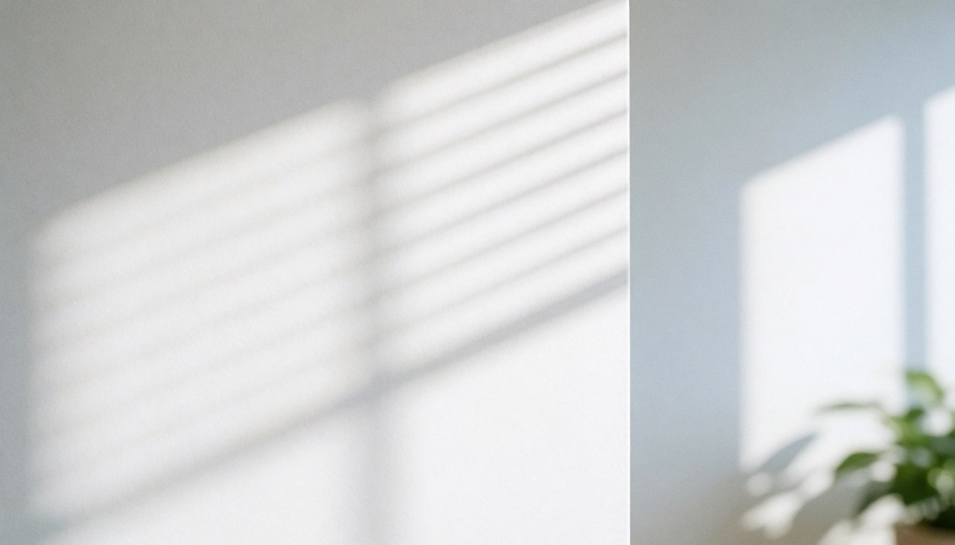 White wall with shadows from blinds and a plant in the corner.