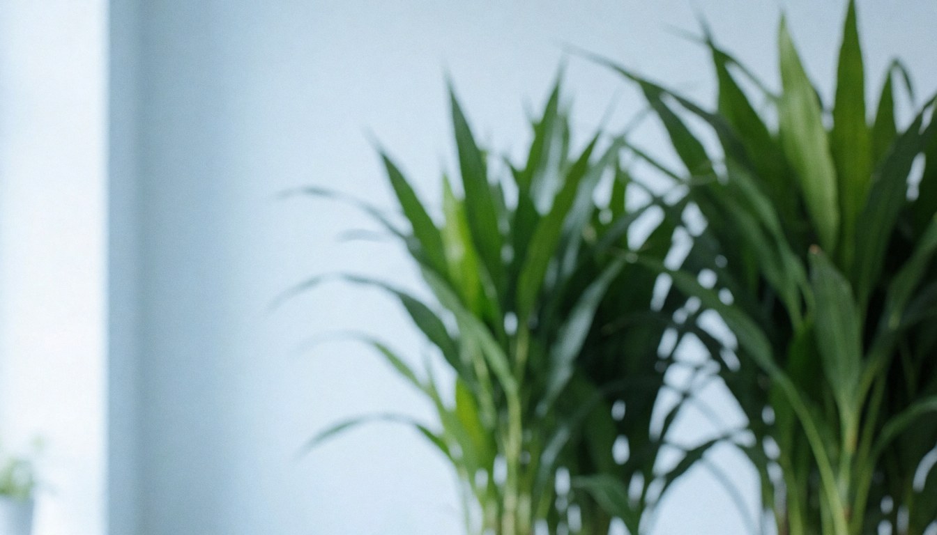 Decorative green plants in a flower shop with light-colored walls and natural light.