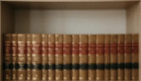 Shelf with hardcover legal books in a law office.