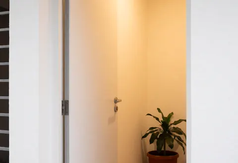 Office entrance with white walls, a door, and a potted plant.