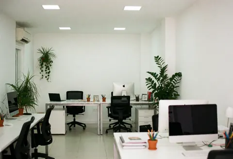 Modern office with desks, computers, chairs and green plants in a clean and minimalist environment.
