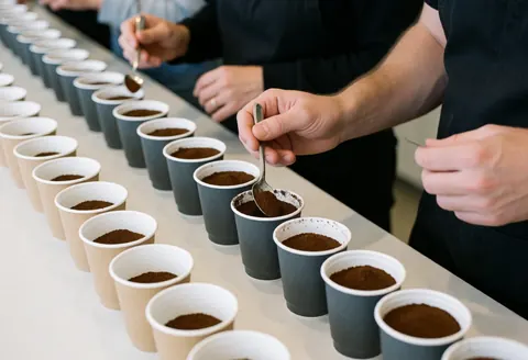 Close-up view of specialty coffee cupping with ceramic cups and hands evaluating quality