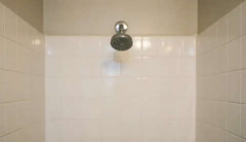 Close-up of white ceramic tiles and a chrome showerhead, ideal for bathroom remodeling and maintenance service backgrounds.