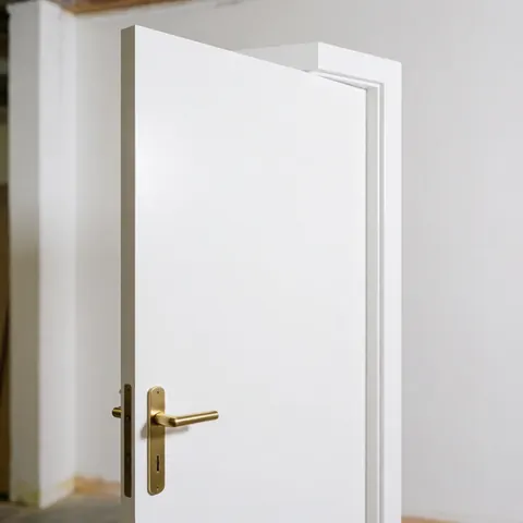 Close-up of a white wooden interior door featuring a polished bronze handle, suitable for home or business installation projects.