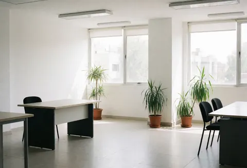 A bright and empty modern office space featuring white walls, large windows, natural light, a desk, chairs, and potted plants on the floor.