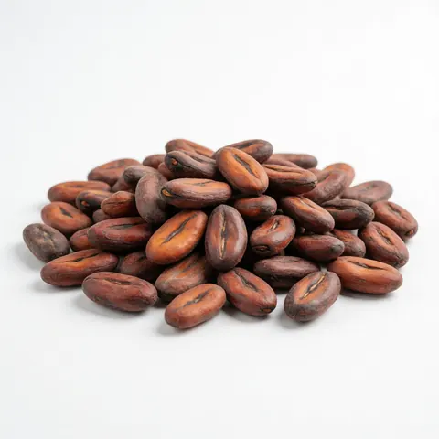 A close-up view of raw, unprocessed cacao beans scattered on a clean white surface, ideal for coffee and cacao farm product imagery.