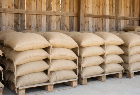 Stacks of raw coffee sacks on wooden pallets stored in a warehouse with wooden walls and natural lighting, suitable for coffee shops and businesses.