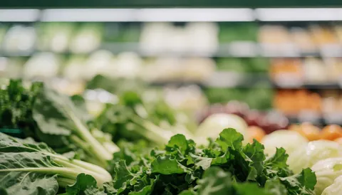 A clean background of fresh vegetables including lettuce, cauliflower, carrots, and tomatoes suitable for grocery store marketing materials.