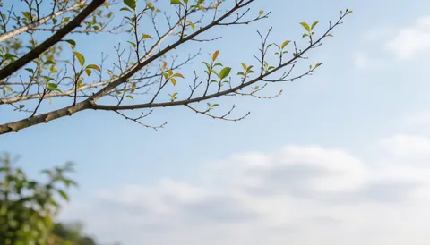 Tree branches with green and yellow leaves silhouetted against a light blue sky with white clouds, ideal for landscaping text backgrounds.