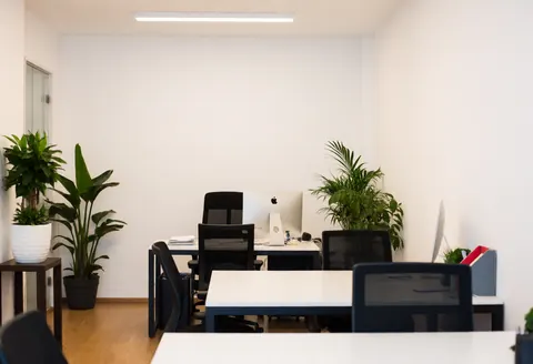 A clean and modern marketing agency workspace featuring a desk, chair, computer, and green plants against white walls with wooden flooring