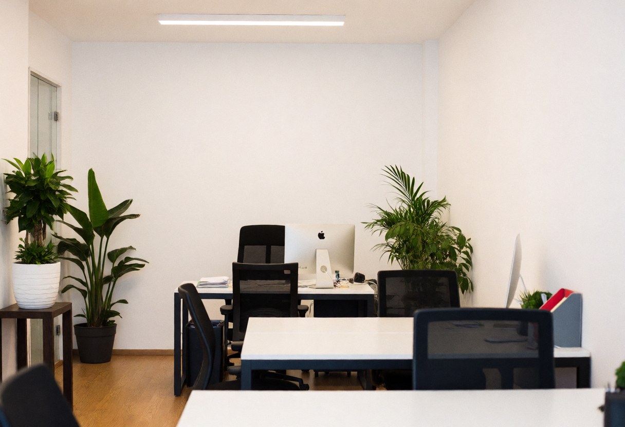 A clean and modern marketing agency workspace featuring a desk, chair, computer, and green plants against white walls with wooden flooring
