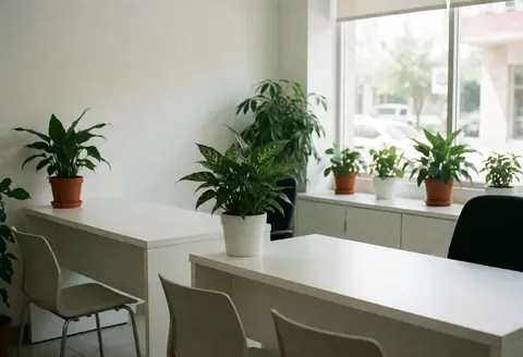 Clean modern business reception area featuring white desks, chairs, green plants, and windows with natural light.