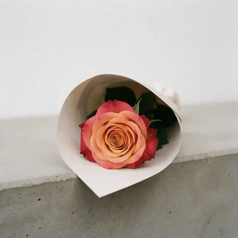 A single red rose placed on a textured gray concrete surface, showcasing minimal floral aesthetics for product display.