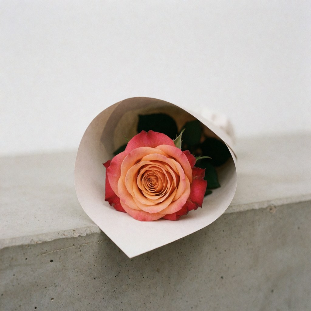 A single red rose placed on a textured gray concrete surface, showcasing minimal floral aesthetics for product display.