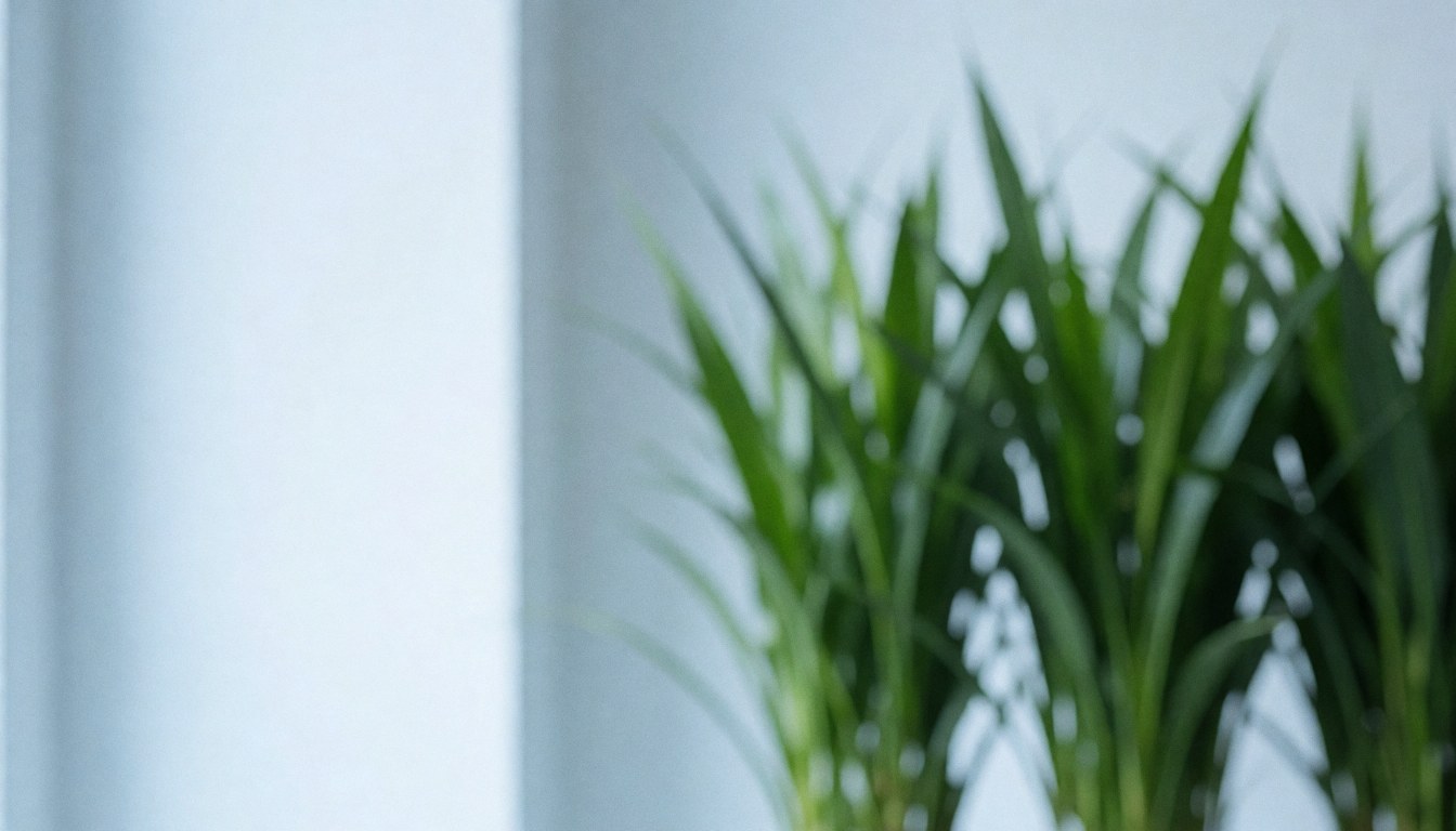 Clean green plant background in a flower shop interior with soft lighting and white space for text, ideal for business websites