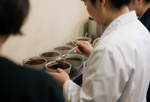 A professional coffee cupping session featuring ceramic bowls, spoons, and steam rising from freshly brewed coffee samples in a laboratory setting