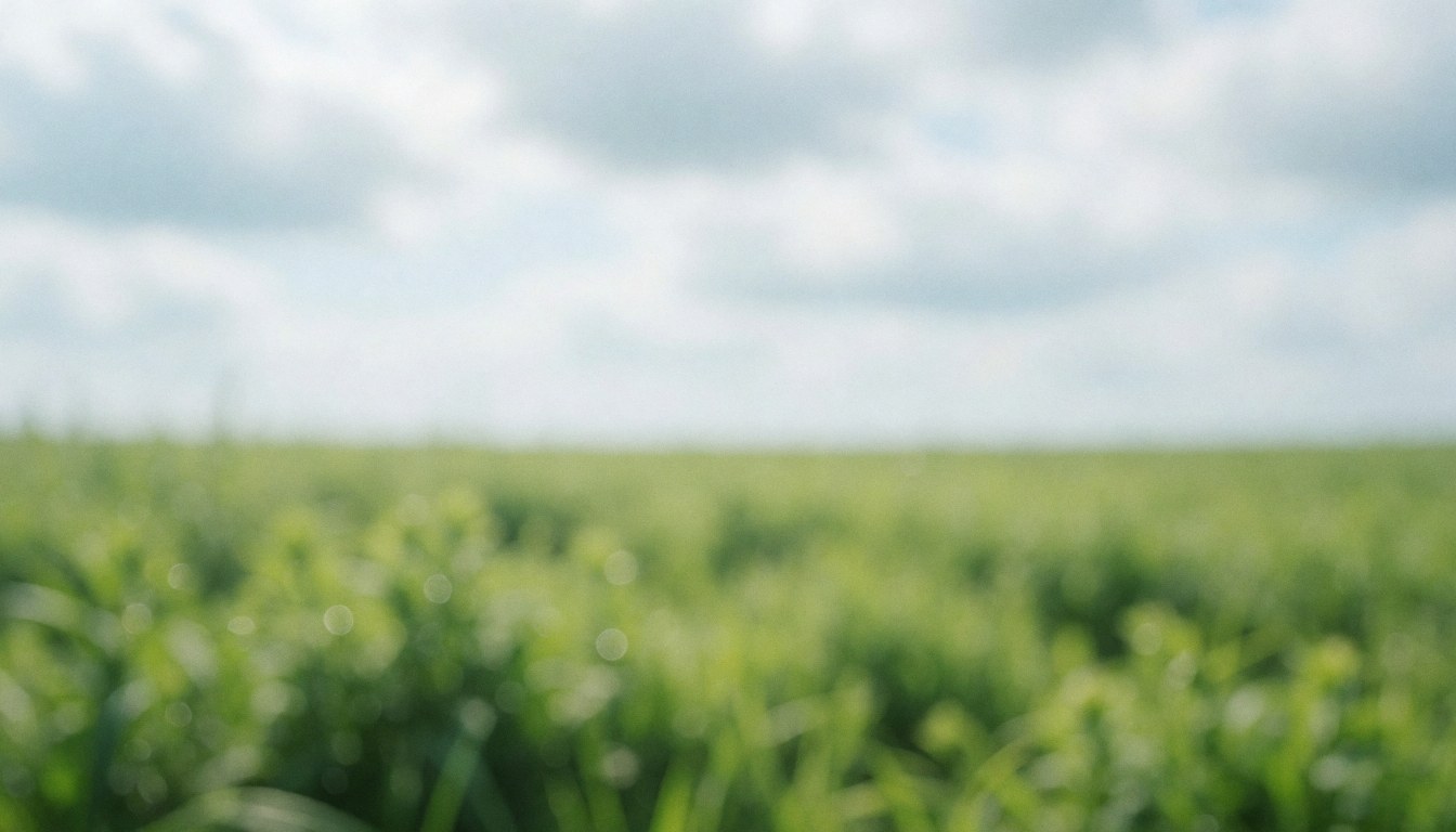 A soft focus background of a lush green agricultural field under an overcast sky, suitable for text overlays in business materials.