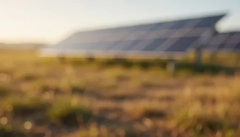 Rows of solar panels installed in an open rural field during a golden hour sunset, providing a natural background for text