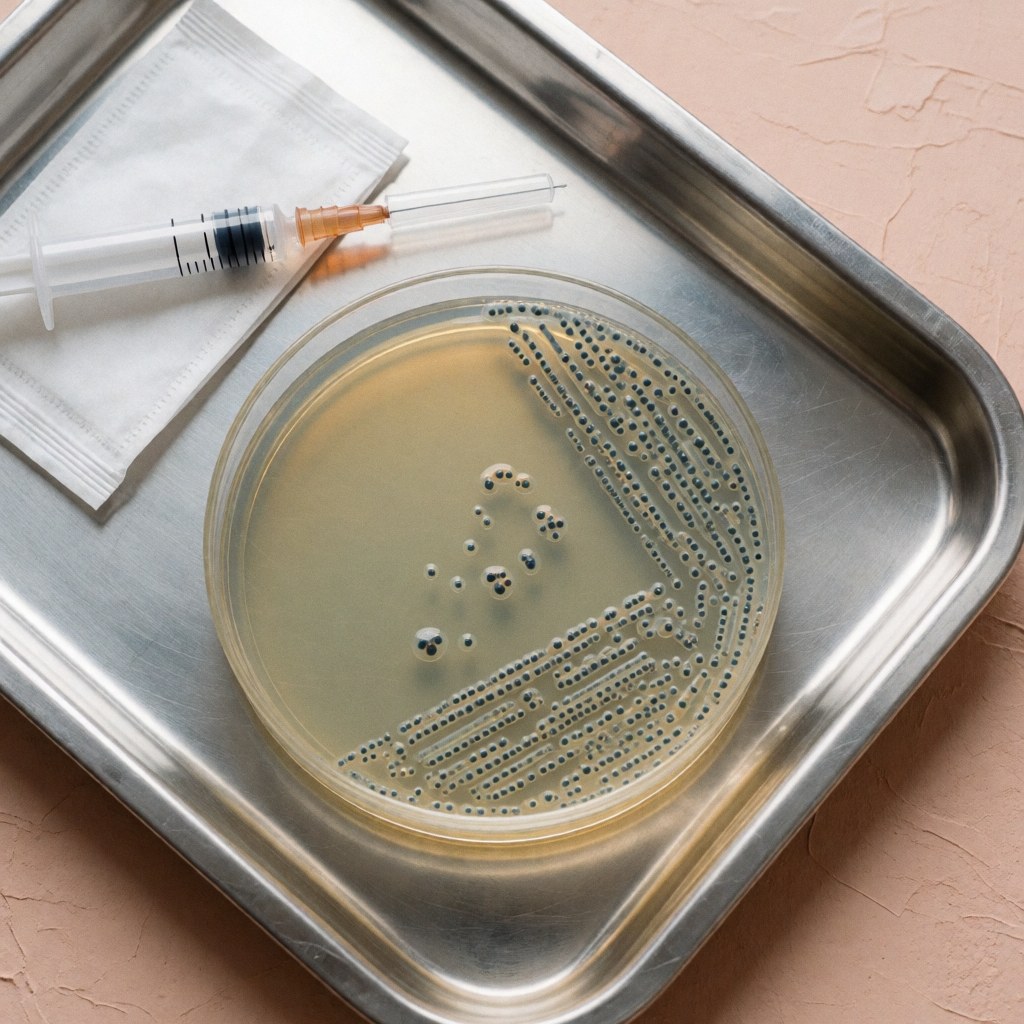 Petri dish with bacterial colonies next to a syringe and swabs in a metal tray on a sterile clinical surface for diagnostic purposes