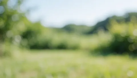 Soft focus background of a green field with vegetation and distant mountains, suitable for outdoor pet care text overlays.