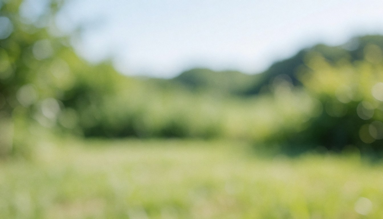 Soft focus background of a green field with vegetation and distant mountains, suitable for outdoor pet care text overlays.