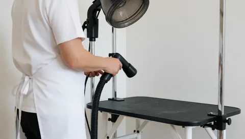 Professional groomer using a hair dryer on a dog at a grooming table in a clean, well-lit salon.