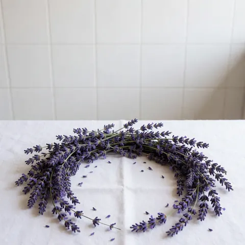 Dried lavender petals arranged in a circular pattern on a white cloth with scattered petals, ideal for aromatherapy and natural product displays.