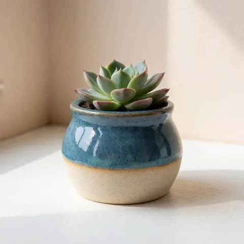 Artisanal ceramic planter with raw base and blue glazed body holding a succulent on a white surface with natural light and beige wall