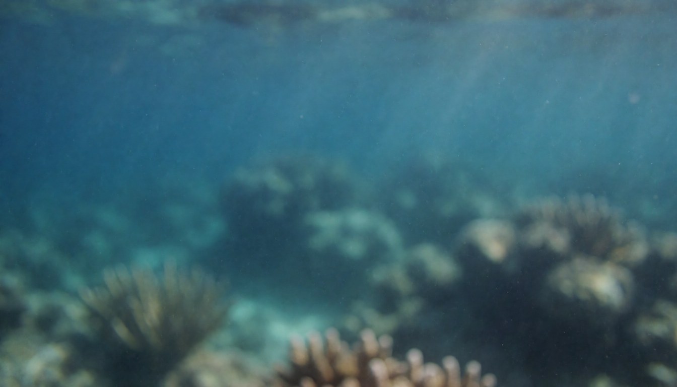 Blue and turquoise underwater scene with soft corals and filtered light, ideal for text or presentations