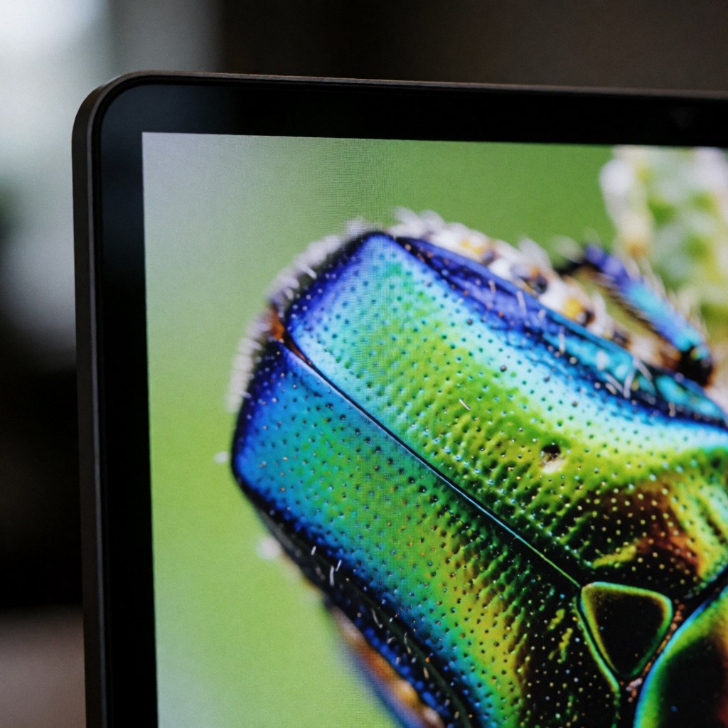Digital screen displaying a macro photo of an iridescent insect with a green and blue exoskeleton against a dark blurred background.
