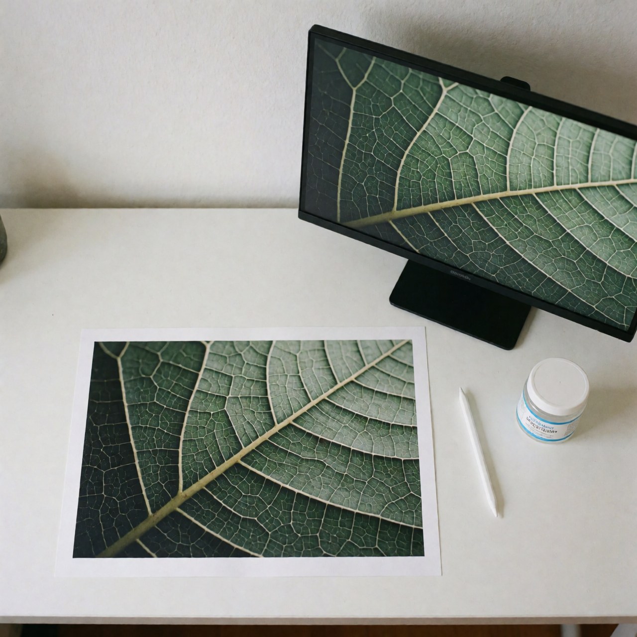 Macro photo of a green leaf printed on paper and displayed on a monitor with a stylus and cleaner on a white desk with soft minimalist lighting