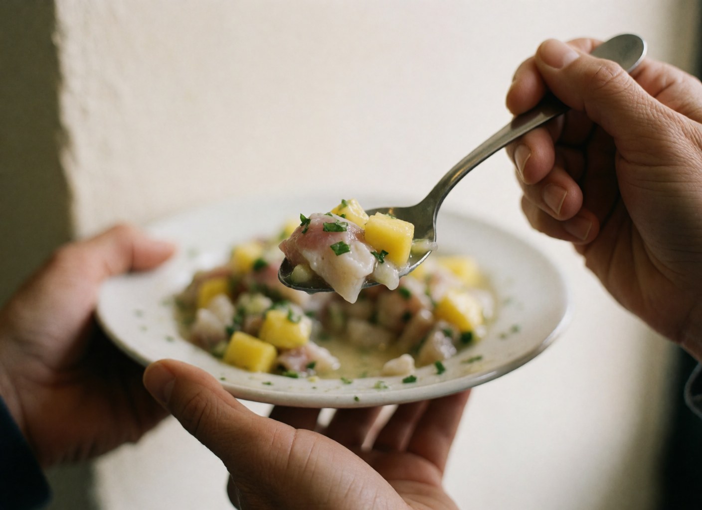 Fresh ceviche with fish, mango, and cilantro on a spoon held by hands over a white plate