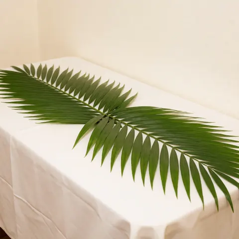A long green palm leaf placed on a white tablecloth, suitable for elegant banquet and event decoration with a natural ambiance.