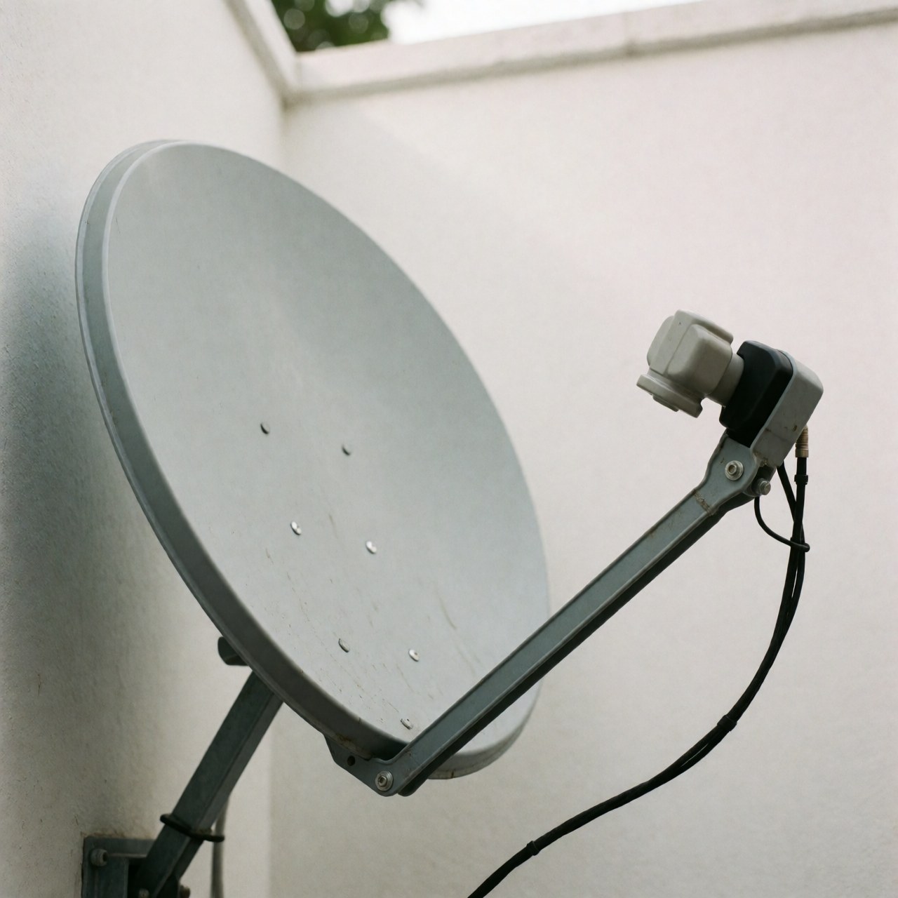 Professional satellite antenna installation on a white exterior wall with visible cable and LNB connector for business use