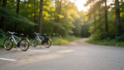 Two mountain bikes parked beside a wooded trail with warm sunset light and blurred green trees in the background