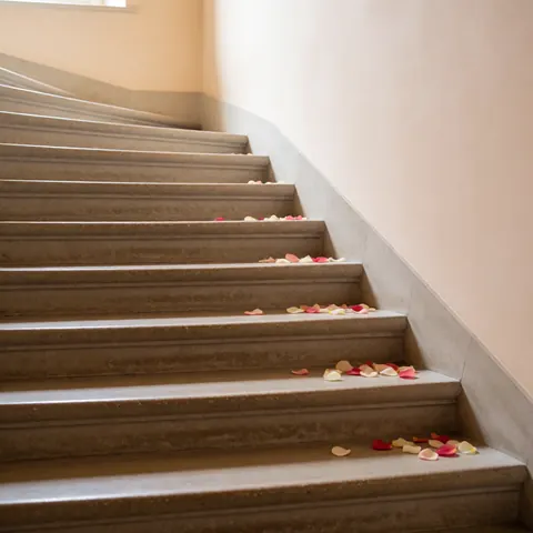 Low angle view of stone stairs covered in scattered rose petals against a beige wall with soft lighting for a celebration atmosphere