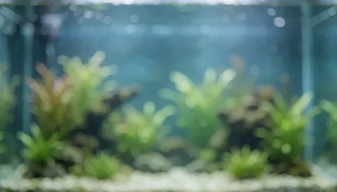Blue water and green aquatic plants with soft bokeh effect, ideal for business text overlays