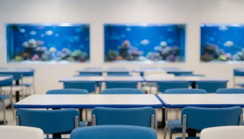 Blue tables and chairs in an aquarium restaurant with blurred marine background, ideal for text overlay and design projects.