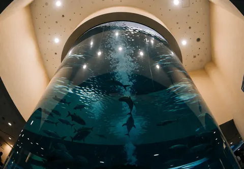 Large curved aquarium tank with fish swimming in blue water, ceiling lights reflected on the surface, beige walls, no people